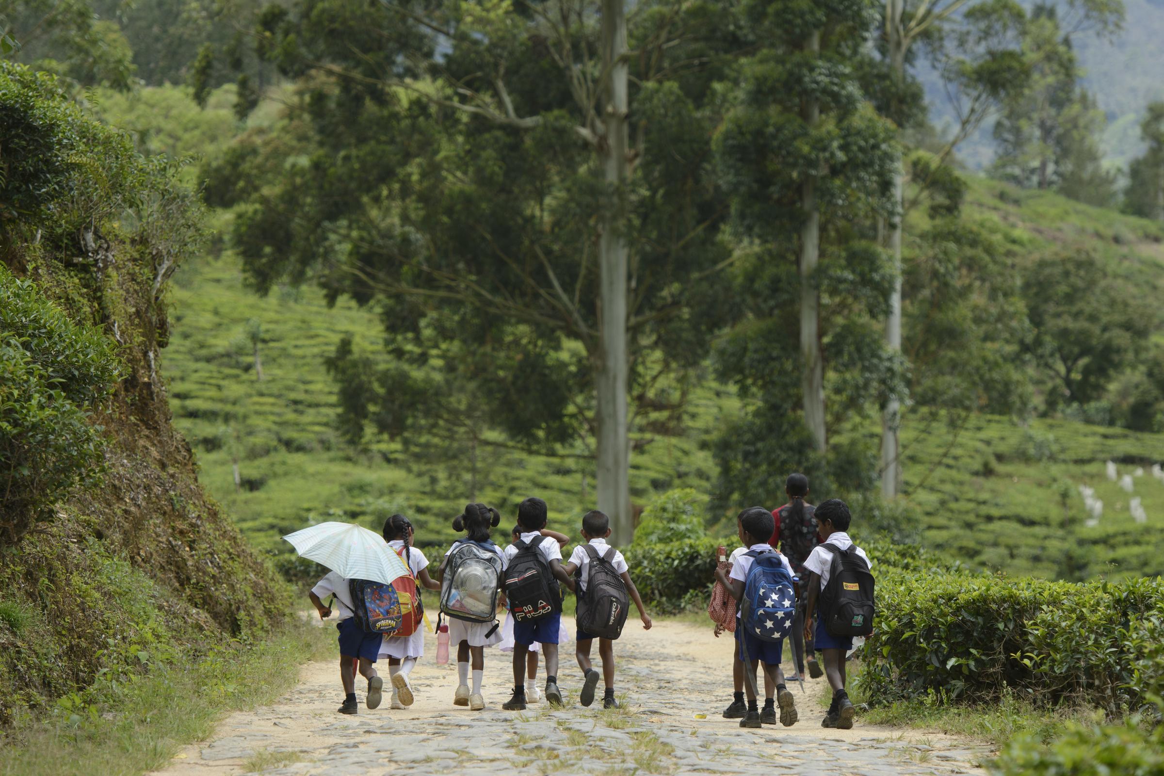 Sri Lanka: Kinder auf dem Weg zur Schule (Quelle: Christian Nusch)