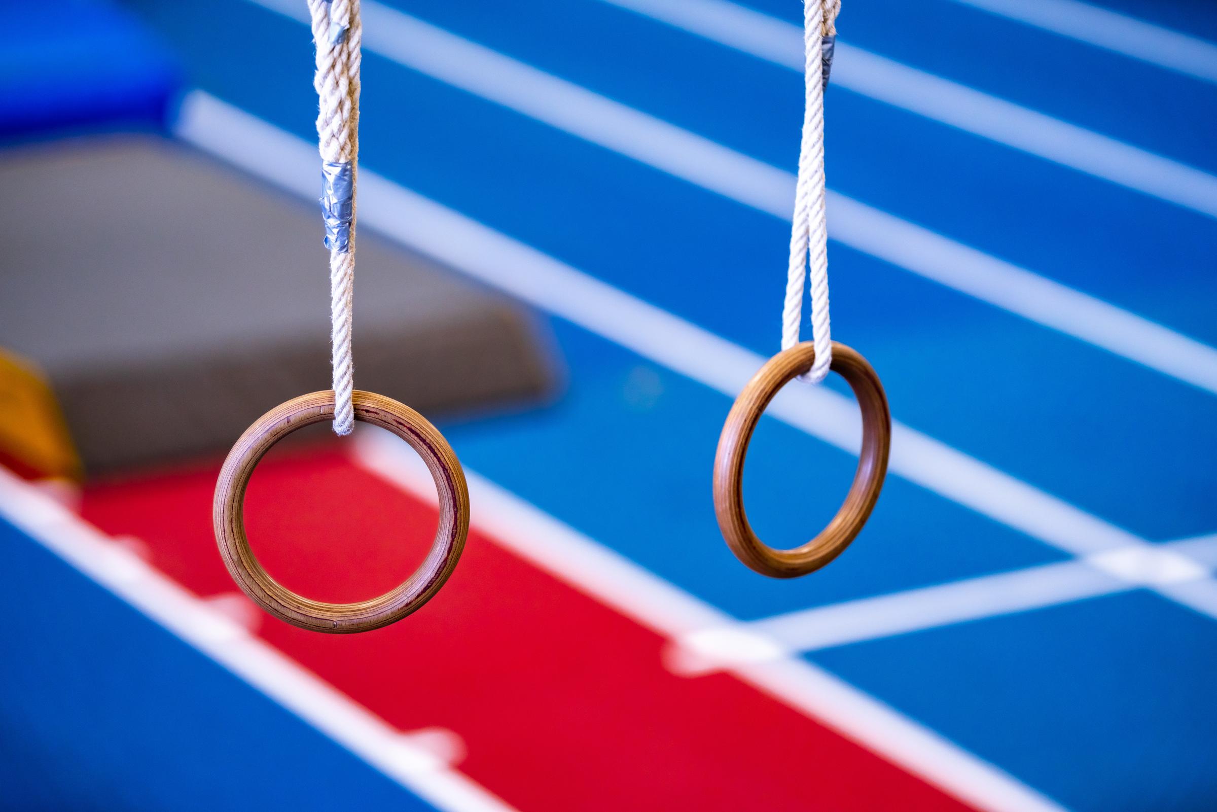 Zwei Ringe zum Turnen in einer Sporthalle (Foto: Jakob Studnar)