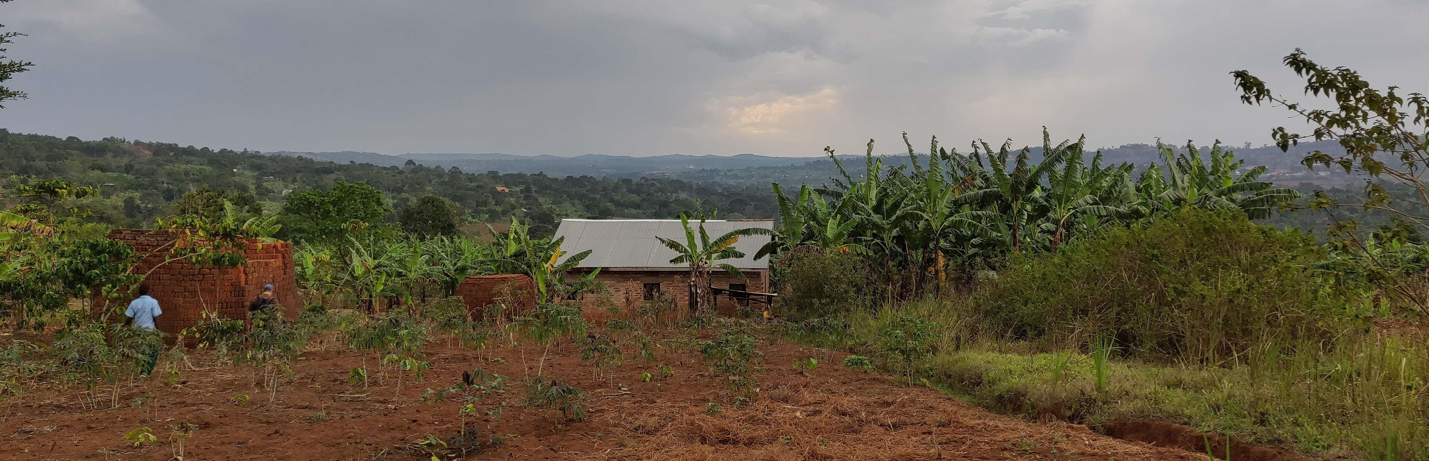 Reportage "Uganda: Farmschulen"; Foto:  Gebäude, dahinter Blick auf die Landschaft, im Vordergrund landwirtschaftlich genutzte Fläche  (Quelle: Katharina Drzsiga / Kindernothilfe)