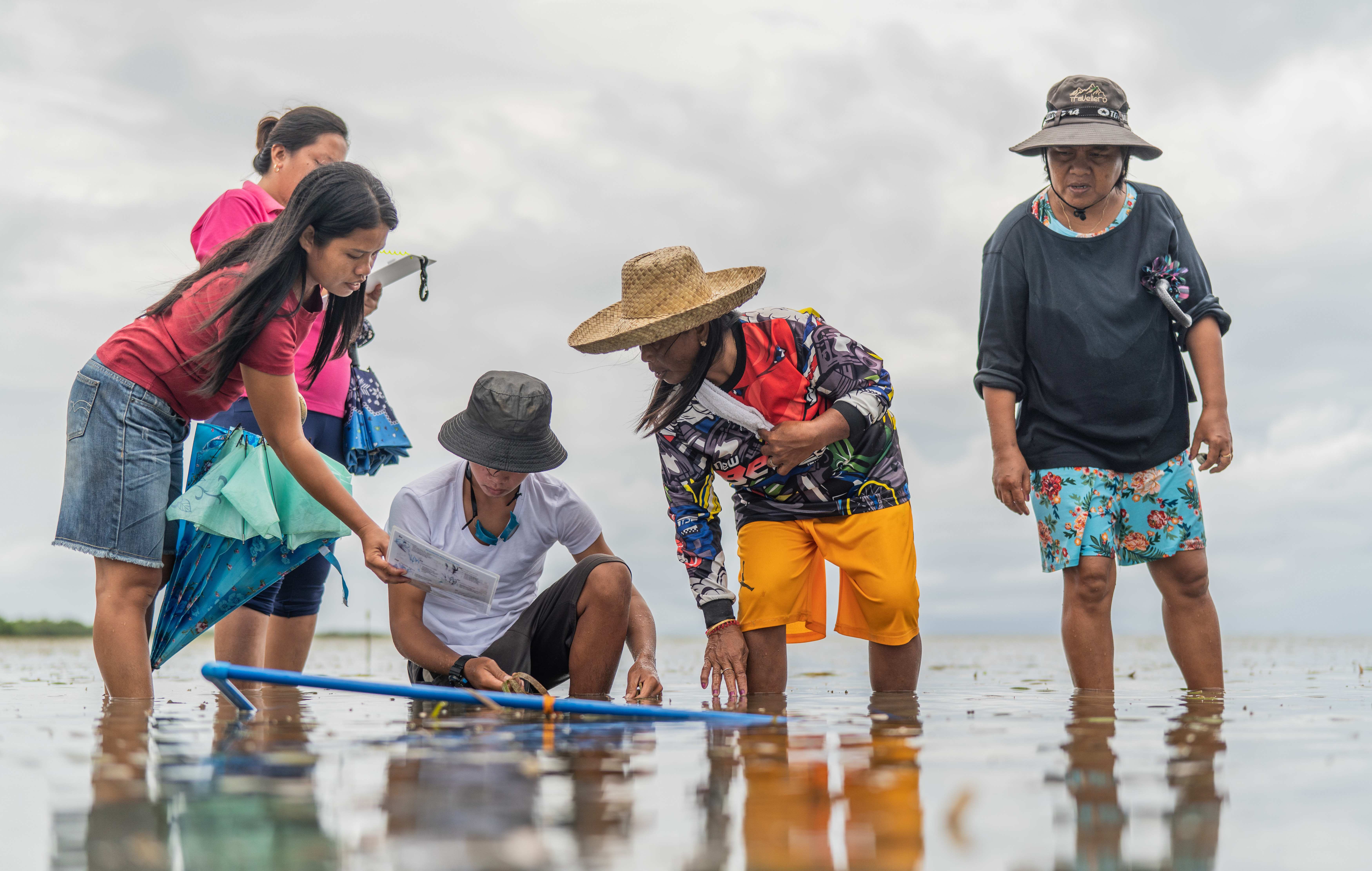 Projektteilnehmer vermessen und untersuchen das Seegras im Küstenbereich (Quelle: Jakob Studnar)