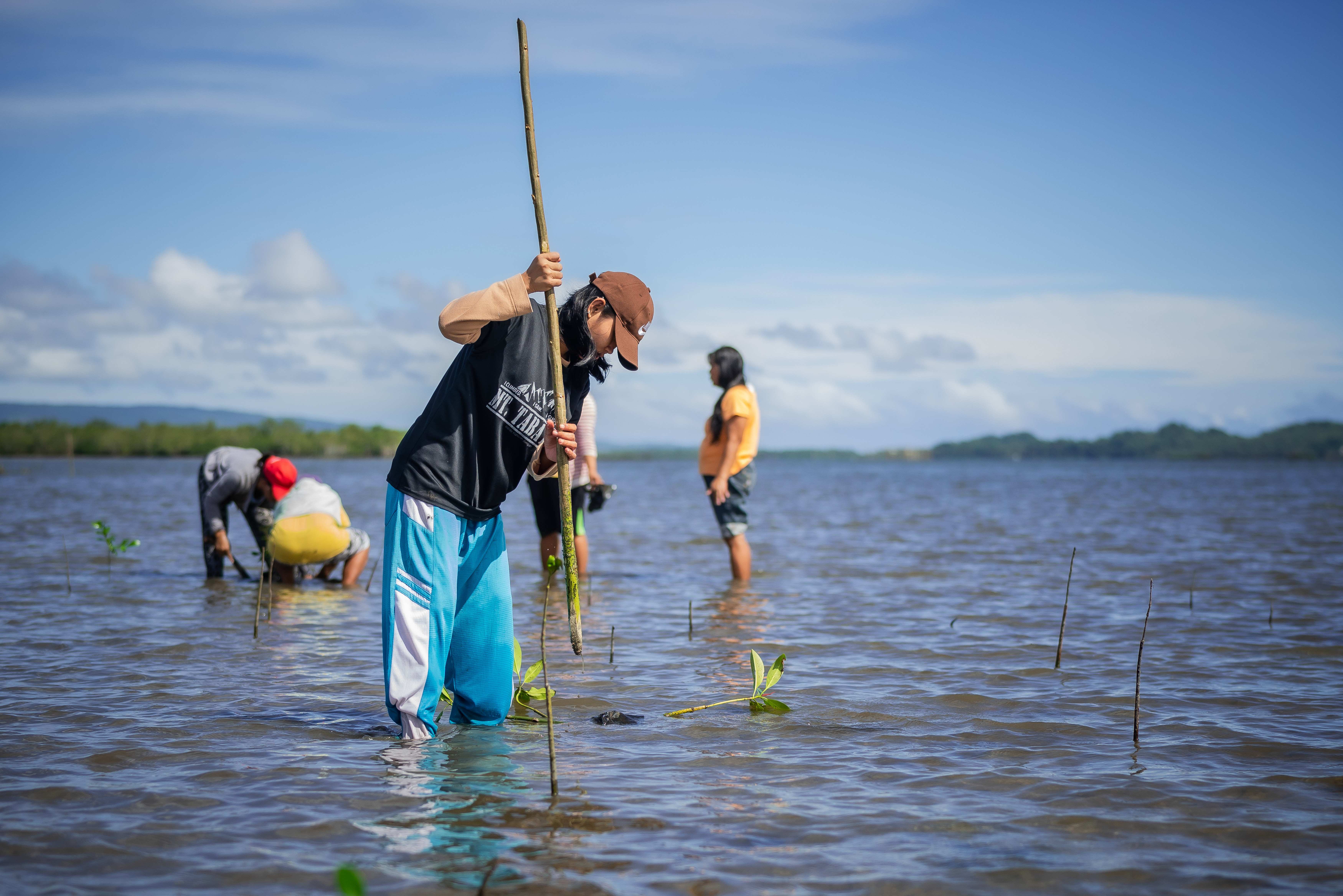 Projektteilnehmerinnen pflanzen junge Mangroven im Wasser, um den Mangrovenwald aufzuforsten (Quelle: Jakob Studnar)