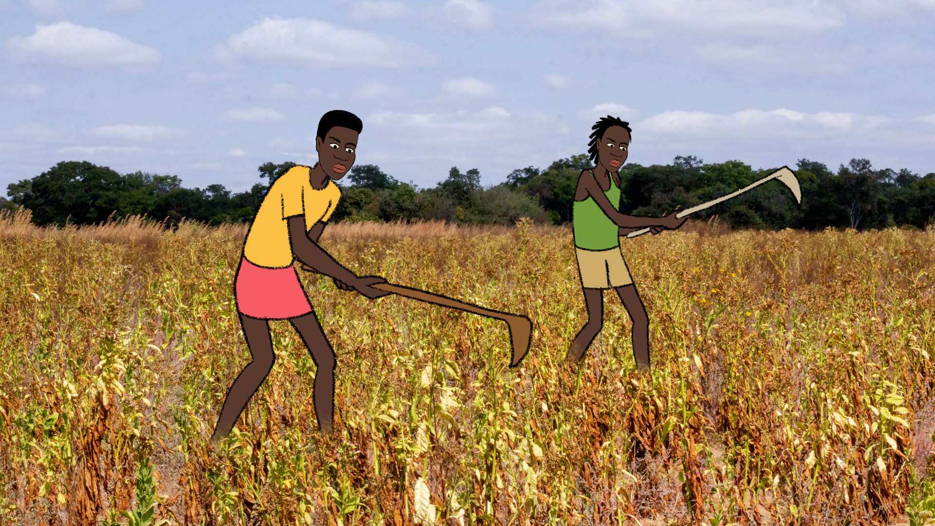 Gamechanger Week 2022: Tagesbilder aus den Spielen: Brasilien, Sambia und Indien (Quelle: Kindernothilfe) Gamechanger Week 2022: Tagesbilder aus den Spielen: Brasilien, Sambia und Indien (Quelle: Kindernothilfe)