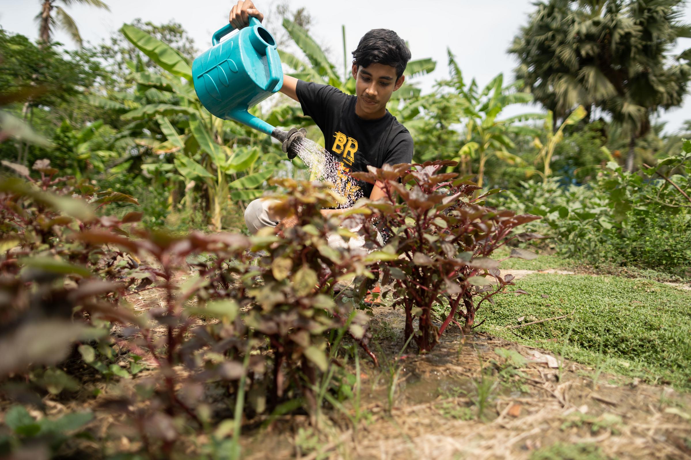 Ein Junge gießt Pfalnzen (Quelle: Lars Heidrich) Ein Junge gießt Pfalnzen (Quelle: Lars Heidrich)