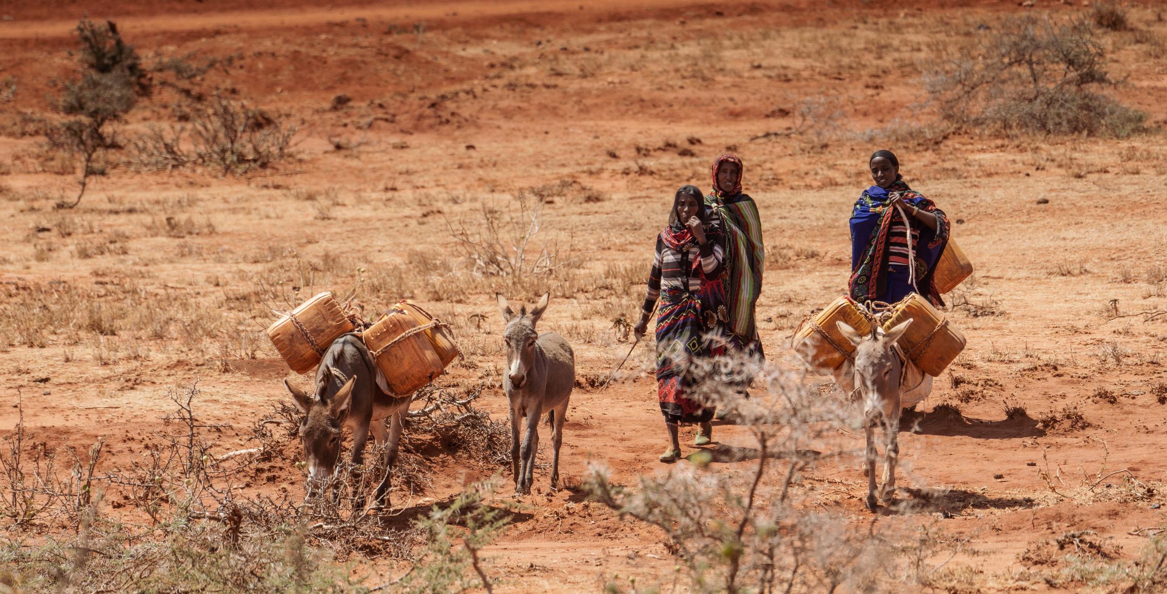 Drei Frauen in der Dürre sind mit Eseln, bepackt mit Wasserkanistern unterwegs (Quelle: Jakob Studnar)