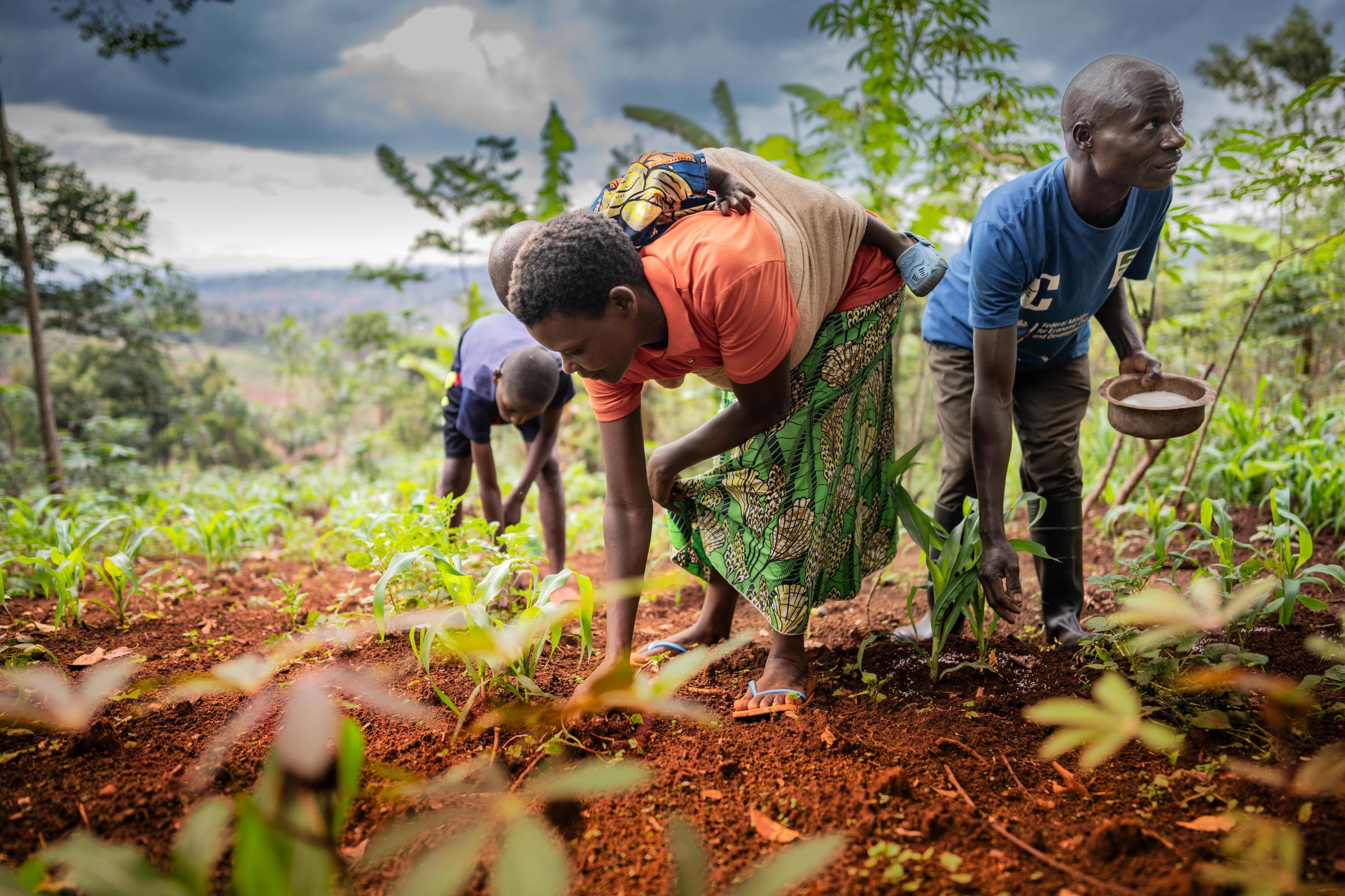 Farmerfamilie auf dem Feld (Quelle: Jakob Studnar) Familie Nahimana bei der Arbeit auf ihrem Feld in Nzove Hill, Burundi. (Quelle: Jakob Studnar)