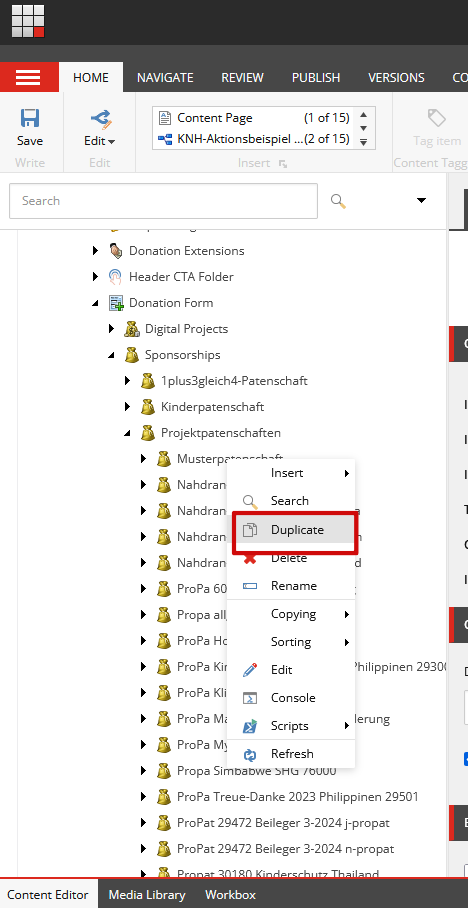Screenshot Aufbau Projektpatenschaft