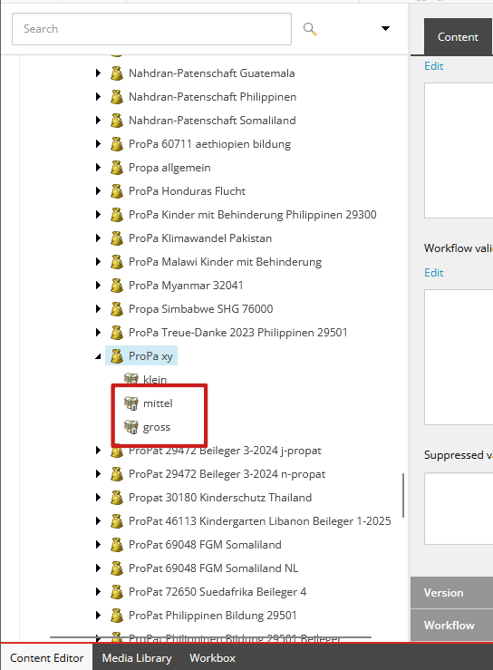 Screenshot Aufbau Projektpatenschaft