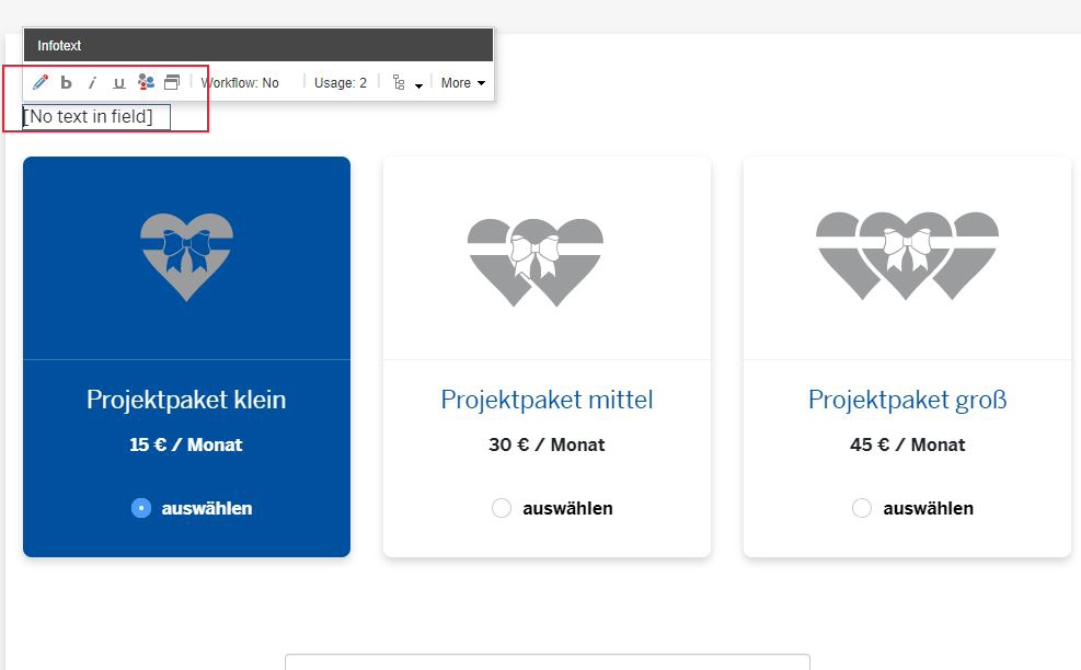 Screenshot Aufbau Formular Projektpatenschaft
