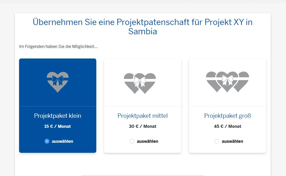 Screenshot Aufbau Formular Projektpatenschaft