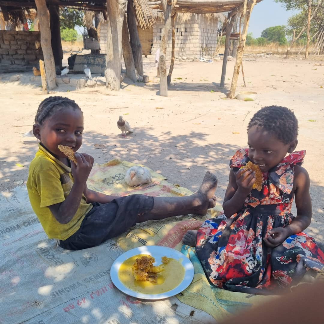 Zwei Kinder essen freudestrahlend Honig aus Waben