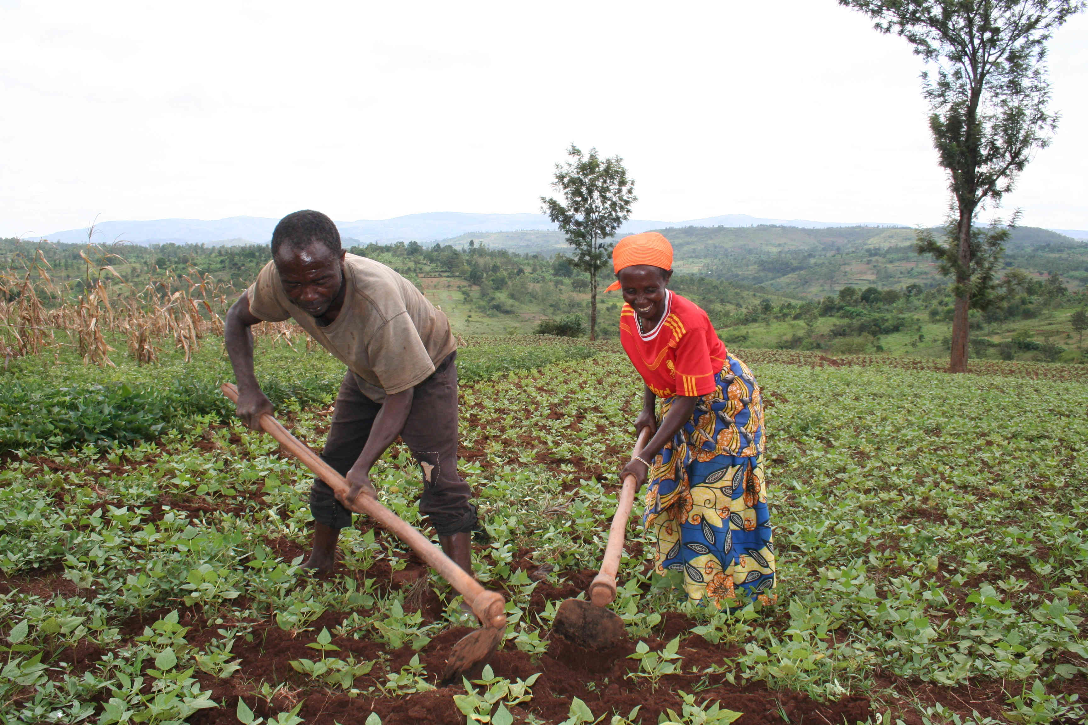 Abbildung Werkzeuge Abbildung Werkzeug